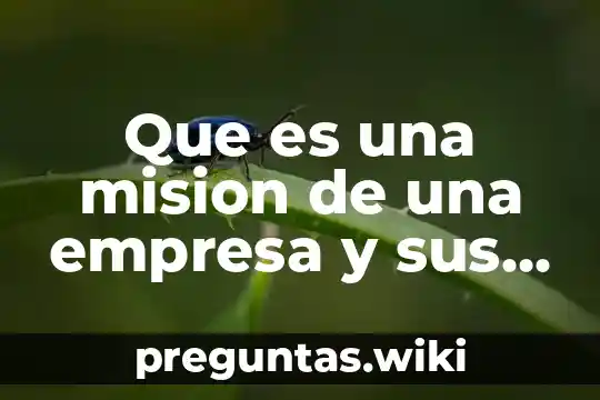 Que es una mision de una empresa y sus caracteristicas