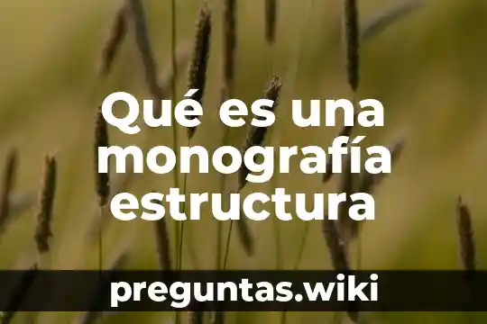 Qué es una monografía estructura