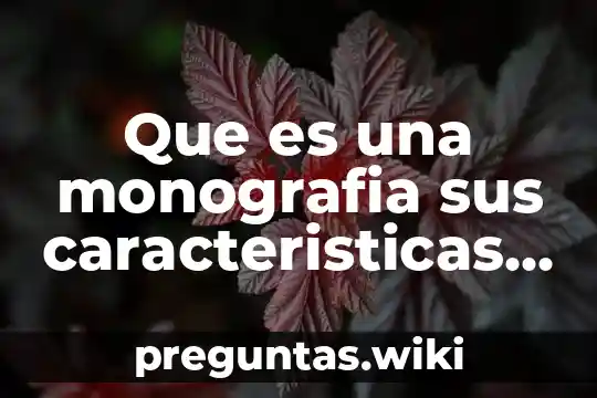 Que es una monografia sus caracteristicas y elementos