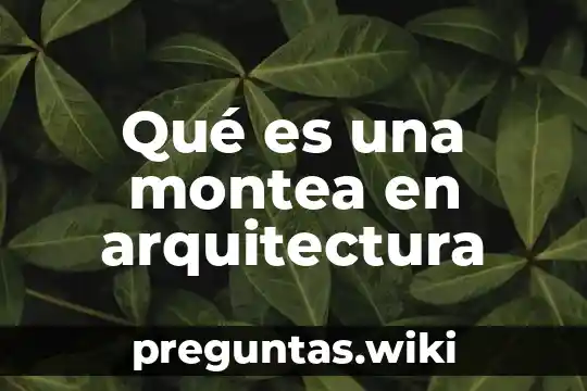 Qué es una montea en arquitectura
