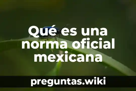 Qué es una norma oficial mexicana