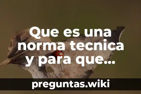 Que es una norma tecnica y para que sirve