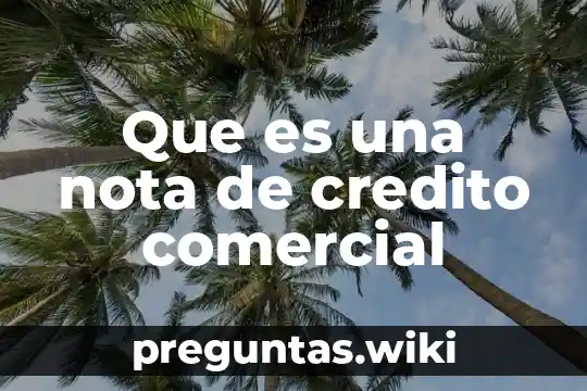 Que es una nota de credito comercial