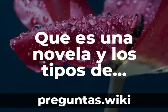 Que es una novela y los tipos de novelas