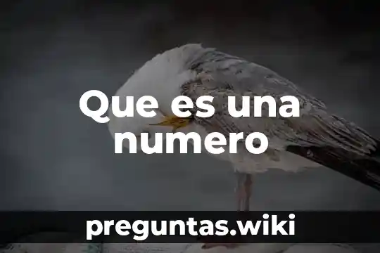 Que es una numero