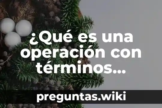 ¿Qué es una operación con términos algebraica?