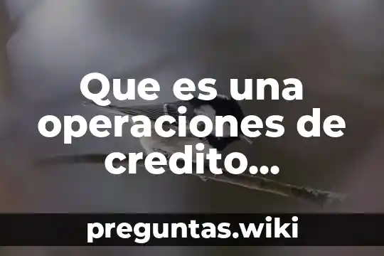 Que es una operaciones de credito ejemplos