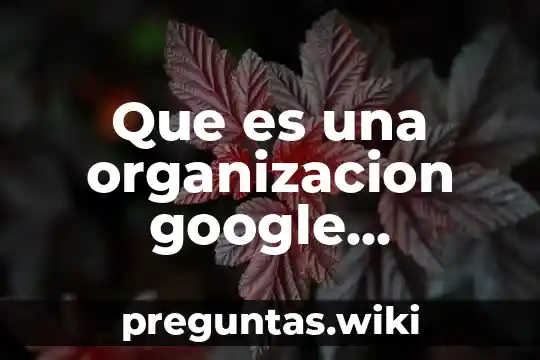 Que es una organizacion google academico