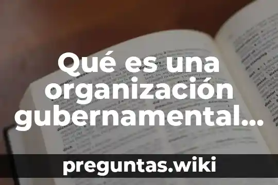 Qué es una organización gubernamental internacional