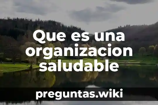 Que es una organizacion saludable