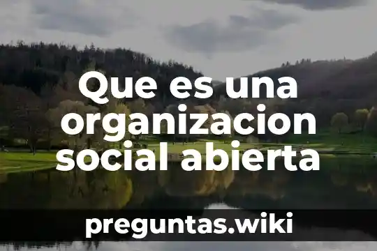Que es una organizacion social abierta