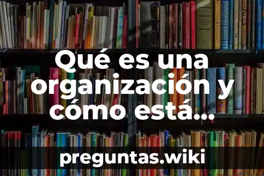 Qué es una organización y cómo está formada