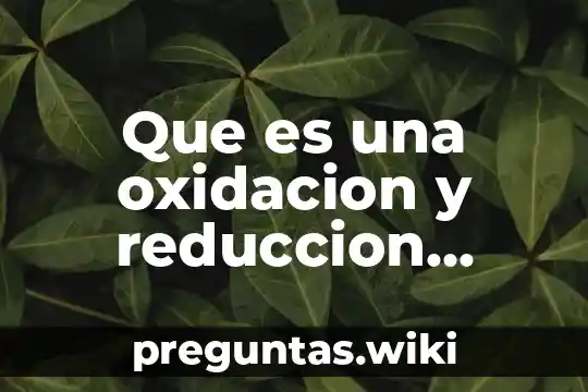 Que es una oxidacion y reduccion quimica