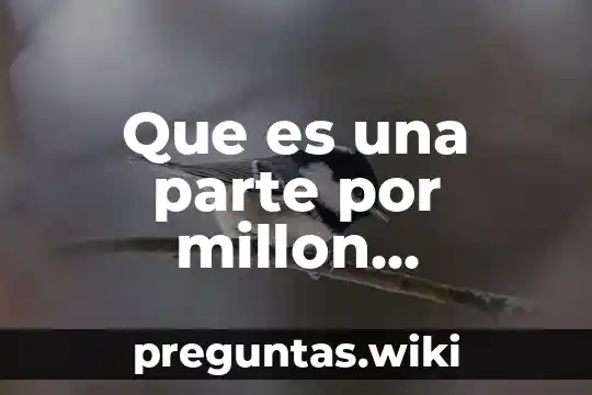 Que es una parte por millon definicion