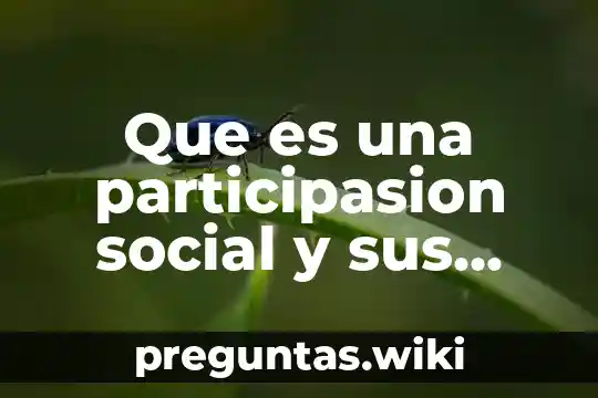 Que es una participasion social y sus partes que contiene
