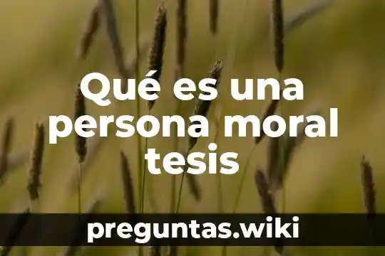 Qué es una persona moral tesis