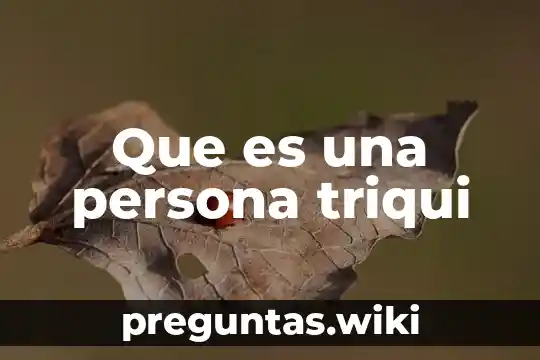 Que es una persona triqui