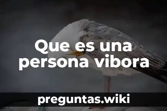 Que es una persona vibora