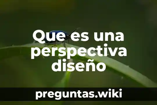 Que es una perspectiva diseño