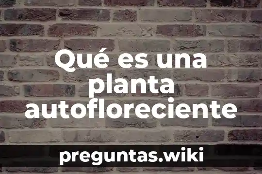 Qué es una planta autofloreciente