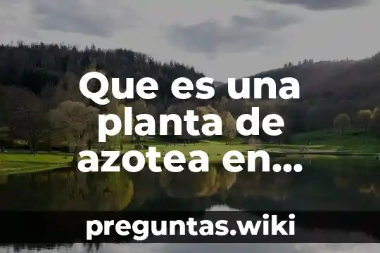 Que es una planta de azotea en arquitectura