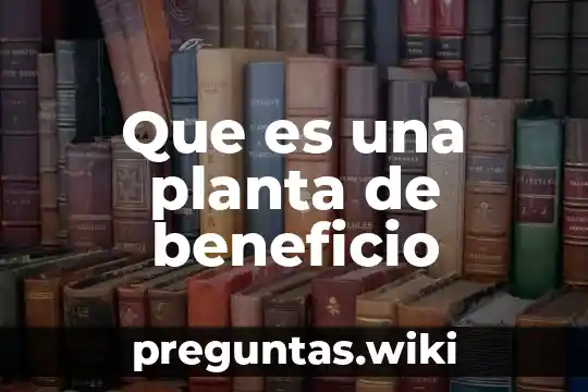 Que es una planta de beneficio