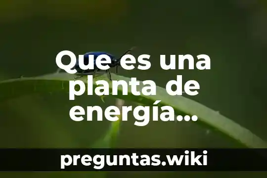 Que es una planta de energía atómica