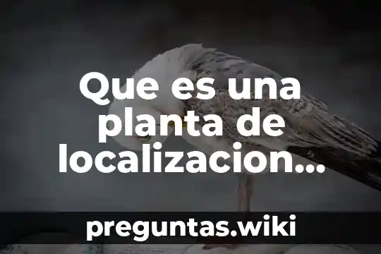 Que es una planta de localizacion arquitectonica