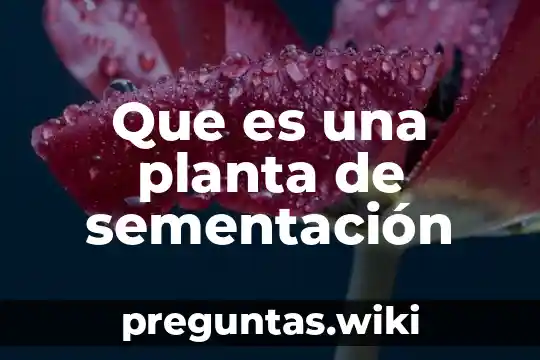 Que es una planta de sementación