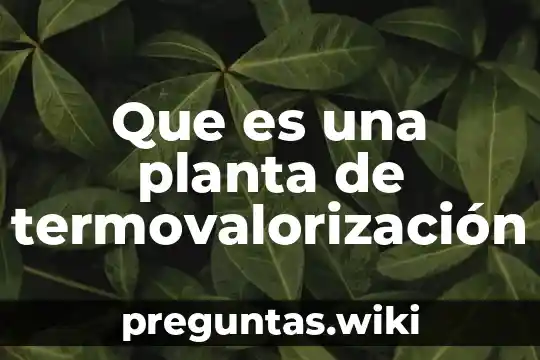 Que es una planta de termovalorización