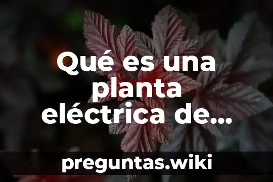 Qué es una planta eléctrica de diesel