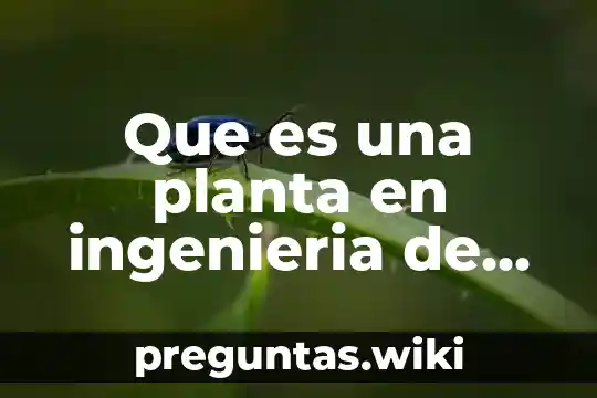 Que es una planta en ingenieria de planta