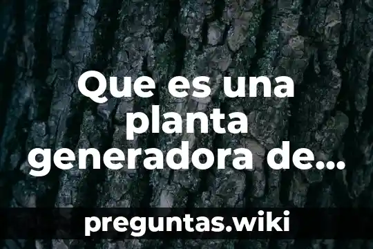 Que es una planta generadora de electricidad