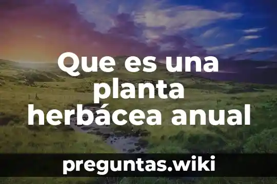 Que es una planta herbácea anual