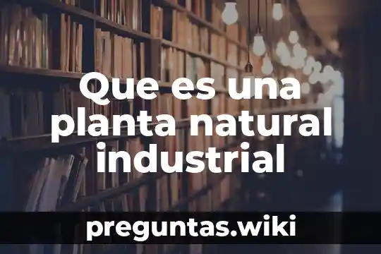 Que es una planta natural industrial