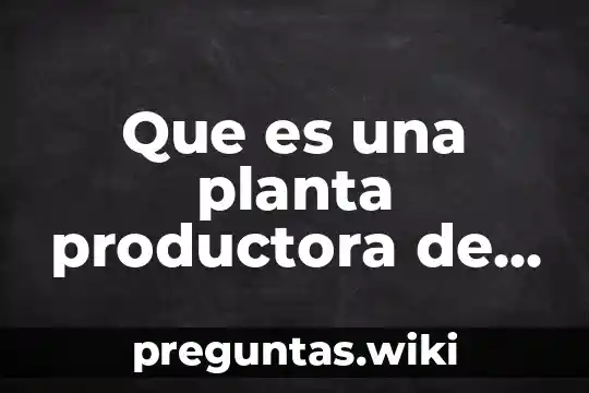 Que es una planta productora de energia