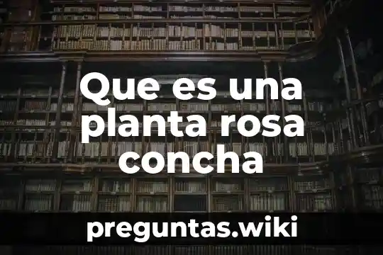 Que es una planta rosa concha
