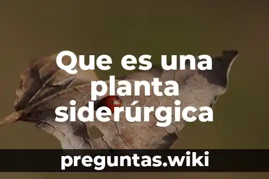 Que es una planta siderúrgica