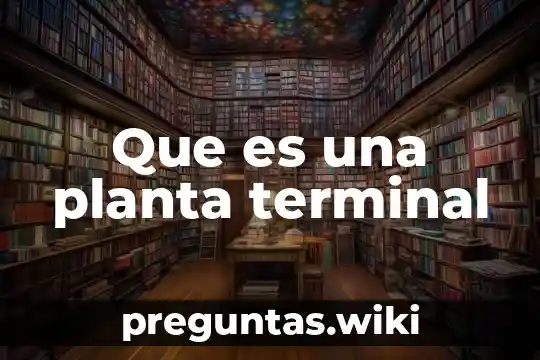 Que es una planta terminal
