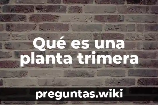 Qué es una planta trimera
