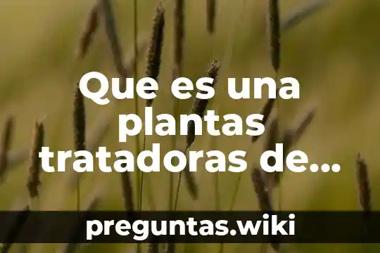 Que es una plantas tratadoras de aguas residuales