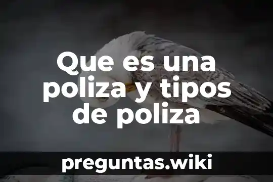 Que es una poliza y tipos de poliza