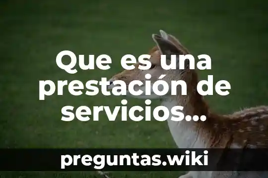 Que es una prestación de servicios profesionales independientes