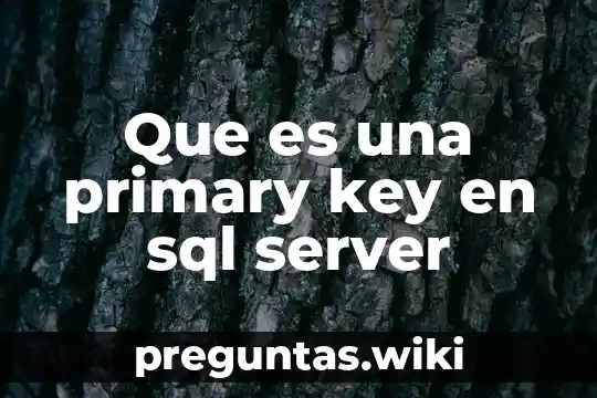 Que es una primary key en sql server