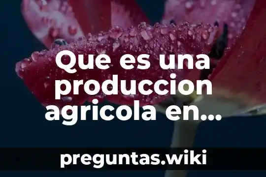 Que es una produccion agricola en mexico y sus caracteristicas