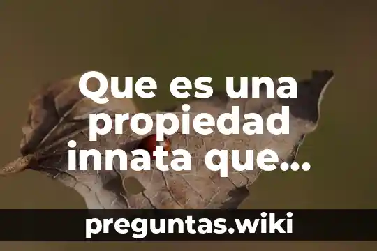 Que es una propiedad innata que posee un ser humano