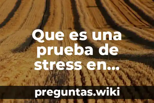 Que es una prueba de stress en sistemas web