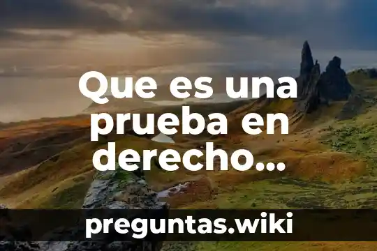 Que es una prueba en derecho procesal