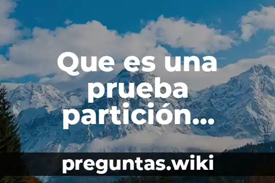 Que es una prueba partición equivalente