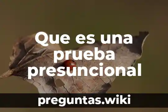 Que es una prueba presuncional